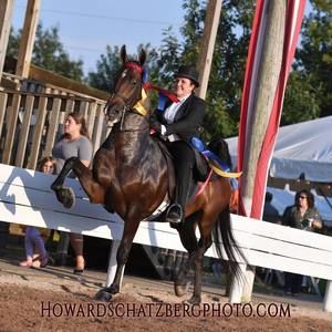 Meet your Posher, Robyn